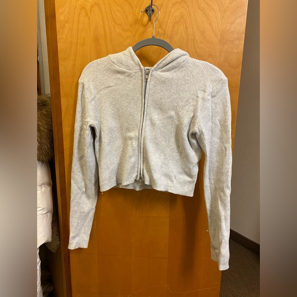 Brandy Melville Arden Cropped Hoodie- gray- worn once